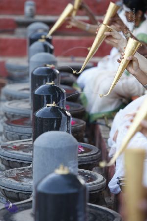 20130604 Photo 1126 1rMtezqsIyFGE1WyBSEf3usvvMpmKTjIp.JPG