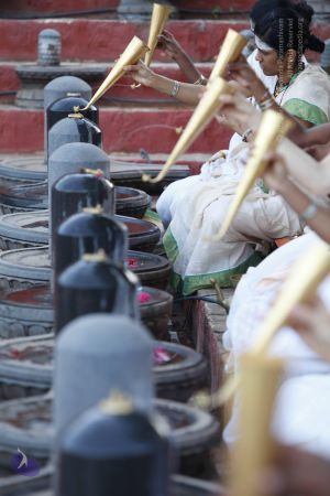 20130604 Photo 1127 1diRVJ-P1nqvv34jyBIsioWGnvLBlgxwz.JPG