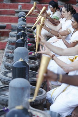 20130604 Photo 1129 1q7l2Hc2kg2tZIqQFYa gJ8G3myglWJ55.JPG