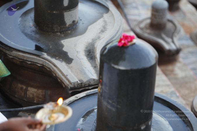 20130604 Photo 1152 1J0B9btqGTDVBXptrMyVsWJJbhpiw04lr.JPG