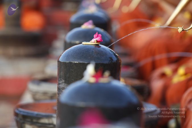 20130604 Photo 1198 1M2Yuo3CmCGyhkY4gt1kyeQ1dK6XU49rY.JPG