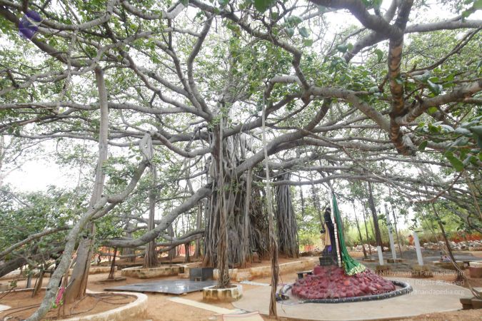 20130605 Photo 1144 1qqGLX 4-di k6xM9SA NN4aoC-0kgwMv.JPG