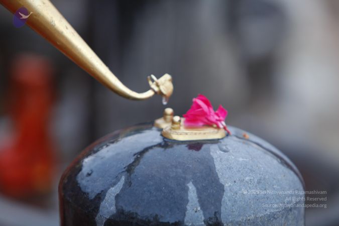 20130606 Photo 1025 1KyemfWUx6xuUctOKQU0byIRwv4 3XbRz.JPG