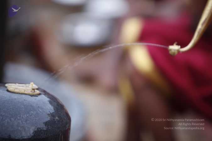 20130608 Photo 1009 1pM58BGNgCImMO-5Ps noRn-ll6 DvoLy.JPG