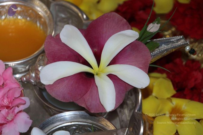 20130608 Photo 1059 1PPYsosjw9euTvBRMXPhe-VAEL9qybNtJ.JPG