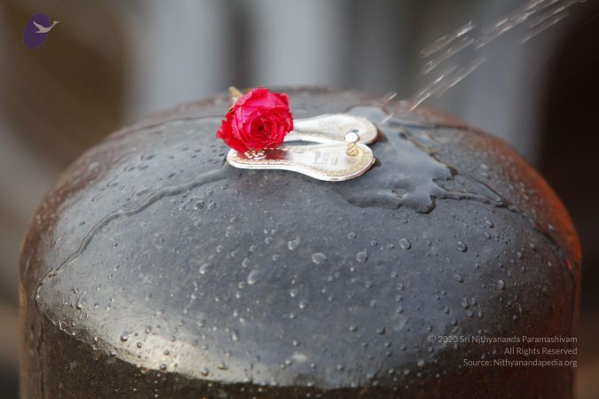 20130610 Photo 1148 1su4-sQH5546xG4nCU0hhLb5KC1q13fQc.JPG