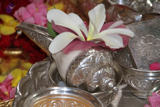 20130610 Photo 1217 1FeYDZt7E0a7hrRjv0fQrcR5WJM WtVGG.JPG