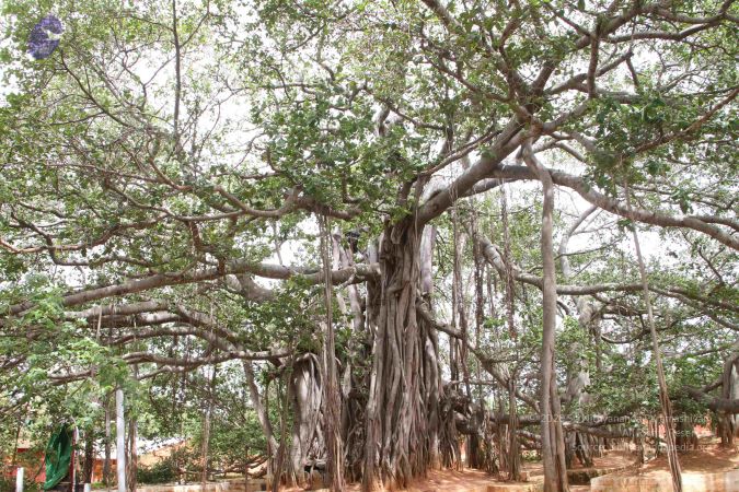 20130610 Photo 1269 1zVv7dZqw6ndXm15gDaHFrp3a~EAbzoN.JPG