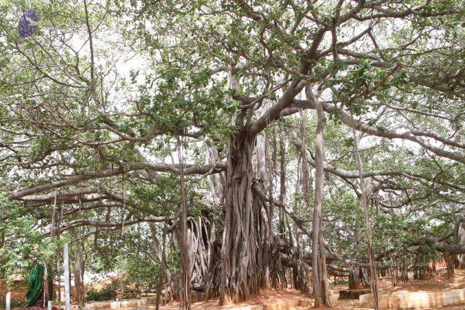 20130610 Photo 1271 1EgT2qFsuOdaaiYjdh0zLnmQYsPtU2fAc.JPG