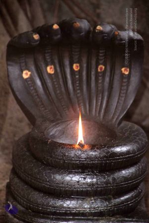 20130610 Photo 1278 1B6yQFBNrqQSURhJKzPmPX0sYA2fdTYLF.JPG