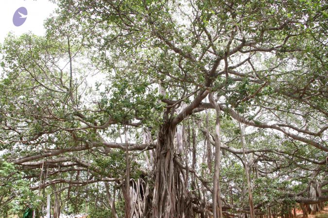 20130610 Photo 1284 16lMbA3cnqeARWhItu-vdjxFrOQs7qvQS.JPG