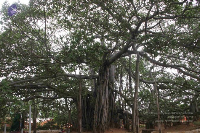 20130614 Photo 1073 1Fx xnLR pjwTe2I h42wAx1IFLjoeN4g.JPG