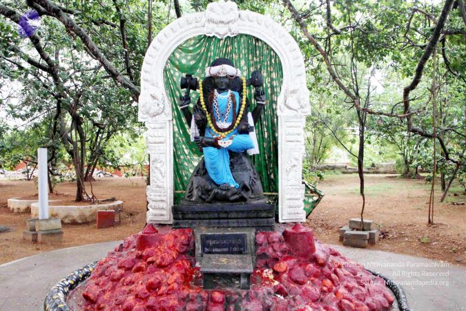 20130617IMG 5802 CMP WM01.jpg