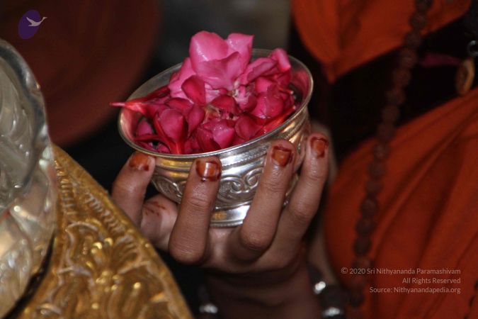 20130618 Photo 1013 1OIOFffixBT5cOLBr nOiDWpdVw2QEk7v.JPG