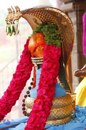 20130619 Photo 1028 1eTjnwpV2gVwRv04bdCGWBFw5t5U290pY.JPG