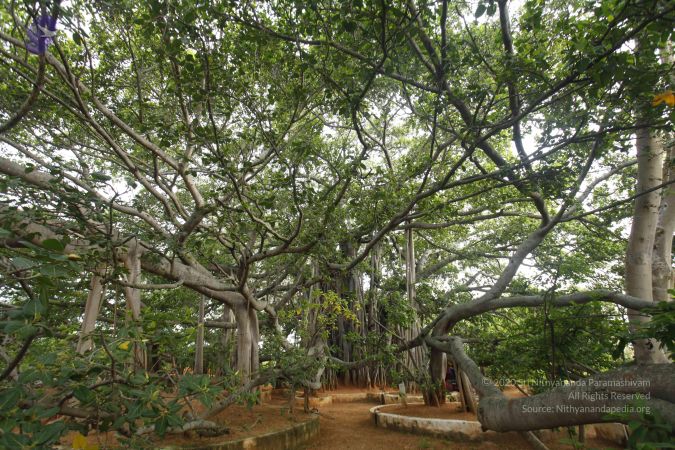 20130620 Photo 1005 13H5ER94dpwXuLakLwX6LMvb5jK1c3iLq.JPG