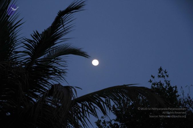 20130621 Photo 1009 1vDw1FcsE0N7LvCctj CE2N0u-7 B4rQ7.JPG