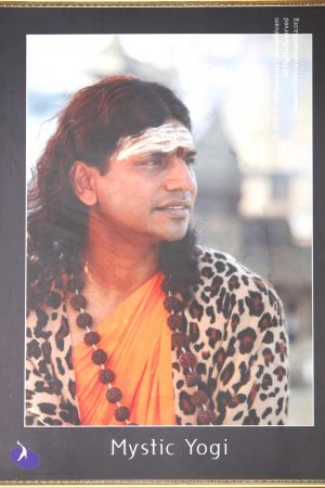 20130624 Photo 1000 1l-w7bDjDCC-DqNXI4F6HhP2HElaorW4t.JPG