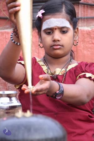 20130624 Photo 1003 1iLWQHTRy5Y-i1 s2k M0gKooD hemCIR.JPG