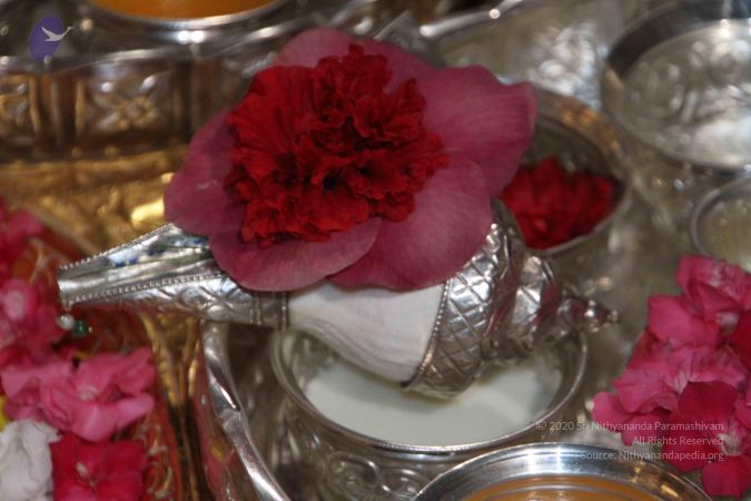 20130624 Photo 1147 1iZ3HUCOtKWRlmvSg8c819Ogp5JAtkh6D.JPG