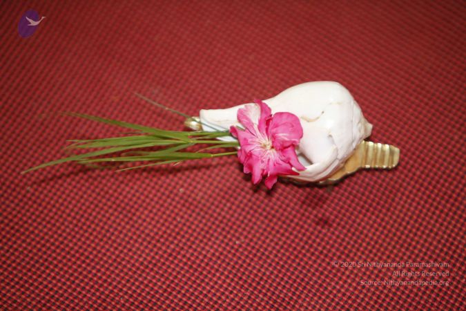 20130624 Photo 1171 1pwUbGmJOKYMEUTE2bZ43kpCeUPvyoBZ1.JPG