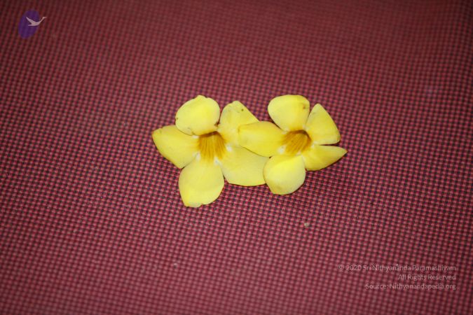 20130624 Photo 1205 1xPjM8314ANLHQDGXVVxwR6HG9fdn54Rj.JPG