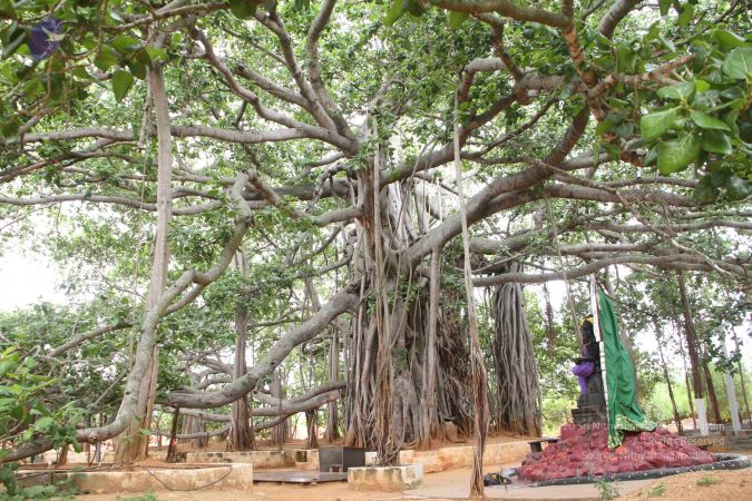 20130624 Photo 1269 1uBMXOFDqNM-z3ZItH7sv1dEg2JIi7zUy.JPG