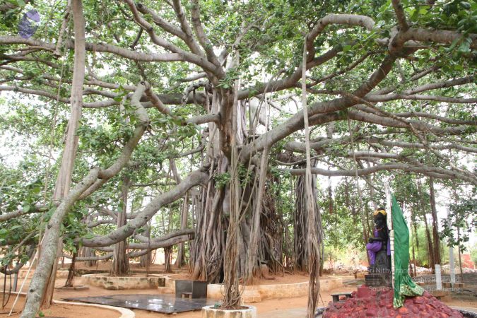 20130624 Photo 1270 1reOcFG0uMDBvnIuEpLaNEsDXQ cIeg-5.JPG