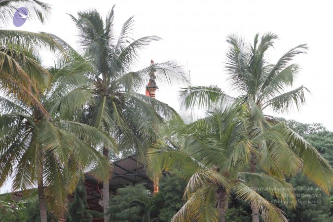 20130624 Photo 1281 1k3RRdmzR1yMqPbuErCt0Hq88j5JrKpti.JPG