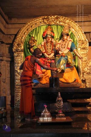 20130625 Photo 1006 1jpbZjW3-djshheBpuFqOt7CDuAKFcw7n.JPG