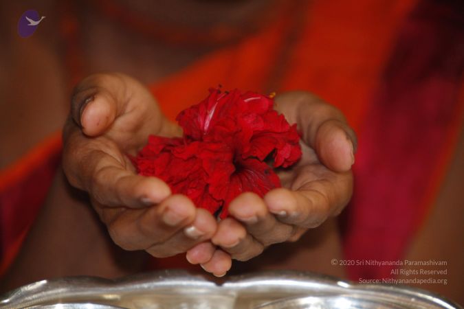 20130625 Photo 1074 1uP9Jdj-6iqWP8EbDoCrXYNC2VS-a UZE.JPG