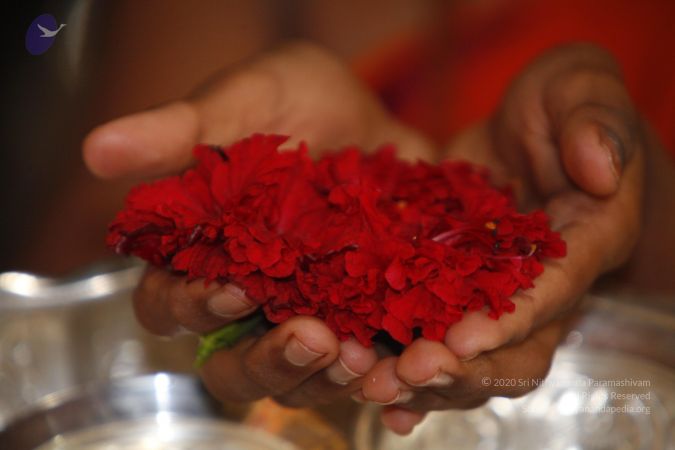 20130625 Photo 1164 1mTV X5tDxWbDqNelIfG6xDp8CHrxNZgR.JPG