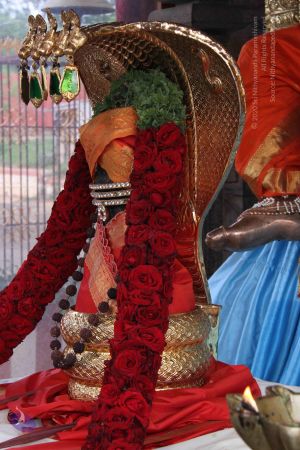 20130628 Photo 1011 1NAP4E-PfetyXMDbP4DwYU9NwSR0mAVaU.JPG