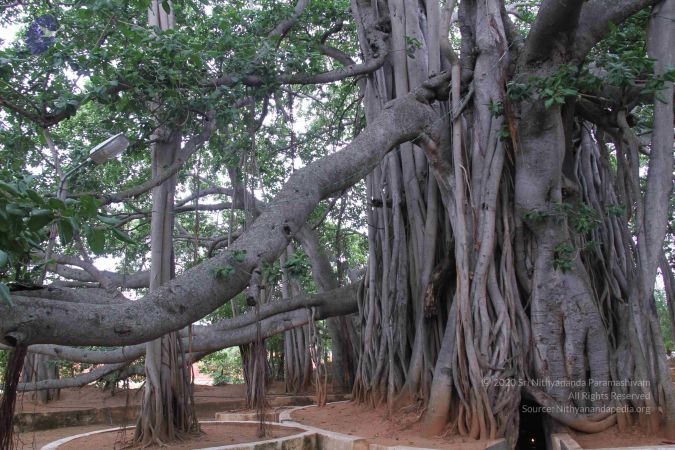 20130628 Photo 1037 1m8e-IA1GQFUn95Wvz31XWtC2p1jRzWW2.JPG