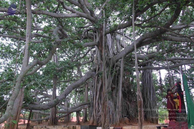 20130628 Photo 1039 1epjVnmltHDaXsLkBNyrHr5O8Os5RHoP0.JPG