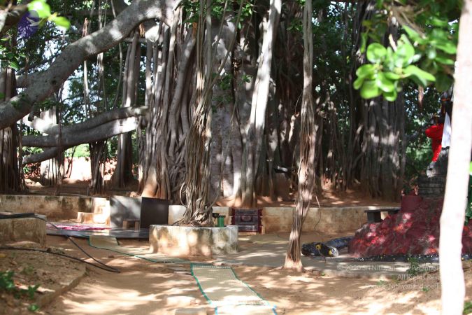 20130629 Photo 1037 1 3-pXkPoXSbPinOV4KZi6-606yW3 0AF.JPG