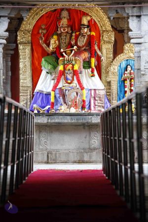 20130704 Photo 1004 1fWcIHY6s8EAuIVplstyiquzOmzs5kIbh.JPG