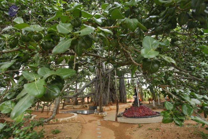 20130704 Photo 1524 1NJESOr t9 VyHzSgohjYWFwVK 3ifFI2.JPG