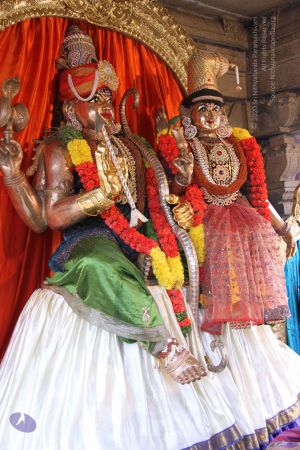 20130705 Photo 1022 1KmHsFkqp0IDC wLtQESuoM9SkvYbHOBW.JPG