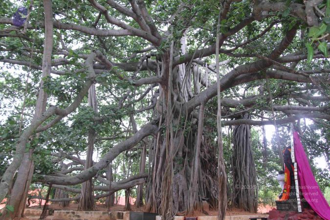 20130705 Photo 1029 1snT4n74WwBN8bSPNApzow5ID 7458bJV.JPG