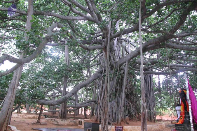 20130705 Photo 1048 11F-qKtc0FAk LUv3QJuGUnsX5n2QEdsa.JPG