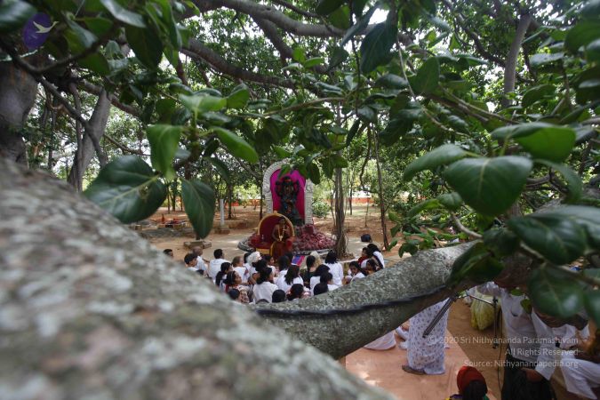 20130708 Photo 1459 18-LyuTaQCk8JXxMjr7K77794esyhYEMF.JPG