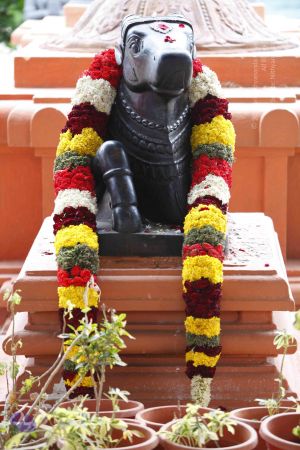 20130712 Photo 1006 1Pp8 mUkzZnLfXaSlPd-SngsFABxfSrcV.JPG