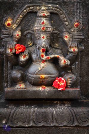 20130712 Photo 1013 1PlDEHsuz7i9ma7WsAGf5RjU-k2cx09vB.JPG