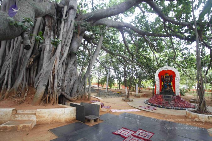 20130712 Photo 1041 1gR 23DJx4mxVbtK-DdncHSMzJdfbQ8h2.JPG