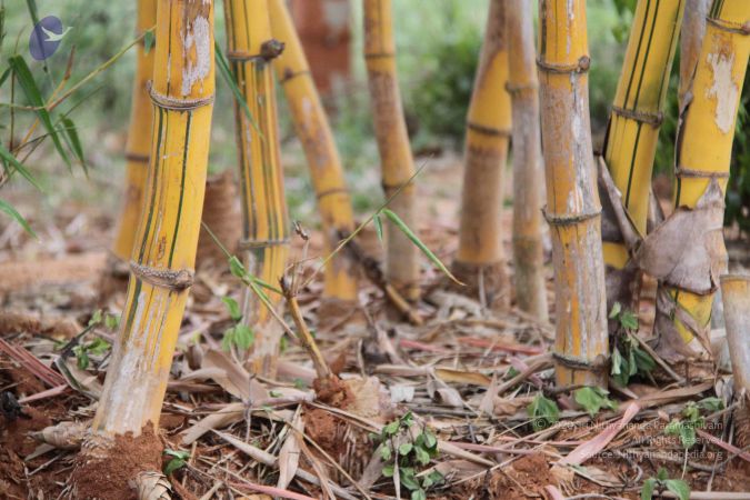 20130713 Photo 1100 1iYfzWSDODjpO0S5CmiHTLemQH02lqIAz.JPG