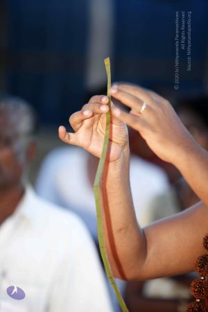 20130713 Photo 1476 1-2g2JX0UvMn4YRciB49D4CliNf9ln xe.JPG