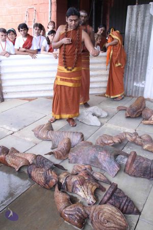 20130714 Photo 1478 1VY6FxFdjS745Nscye95fiwKCv7MYSRG5.JPG