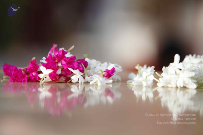 20130714 Photo 1615 1VuooYBElteRcctqOADNu76PZqlk~R--.JPG