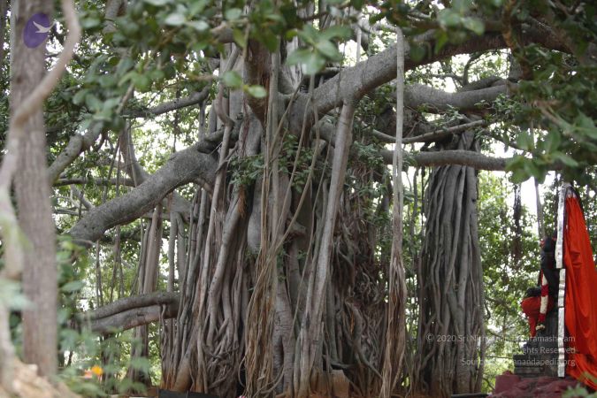 20130716 Photo 1033 1CjXssHl UZxicYC3mRE7GhjpbWkIW JU.JPG